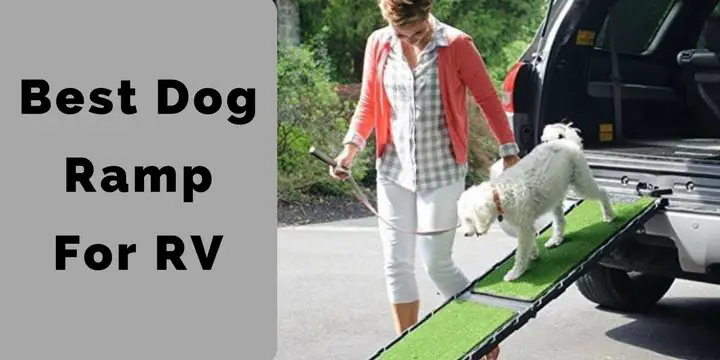 Best dog ramp for RV: Tips For Choosing The Right One.