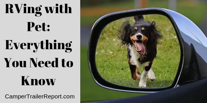 RVing with Pet: Everything You Need to Know